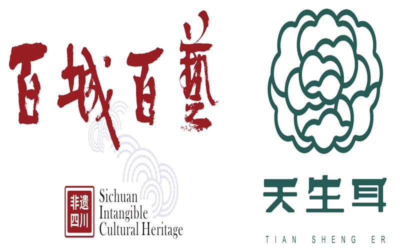 百城百艺视觉形象横版 拷贝.jpg