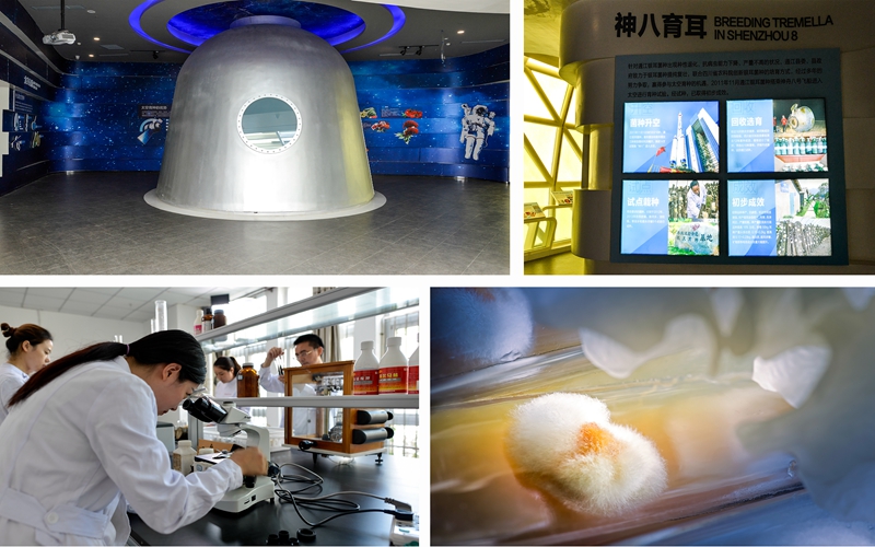 4. 通江银耳有重要的科学价值。2004年国家对通江银耳实施原产地保护，2011年搭乘“神州八号”进行太空育种实验，通过银耳科研所多年来的反复栽种试验 无明显变化，反证通江银耳抗基因突变和辐射。图1：“神州八号”太空育种模拟厅。图2：通江银耳太空育种基地。图3——图6：科研人员育种研究。.jpg
